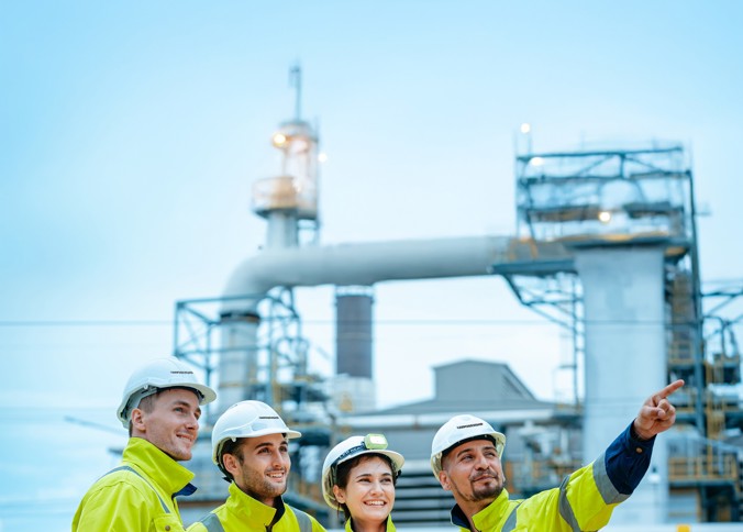 HSE professionals
